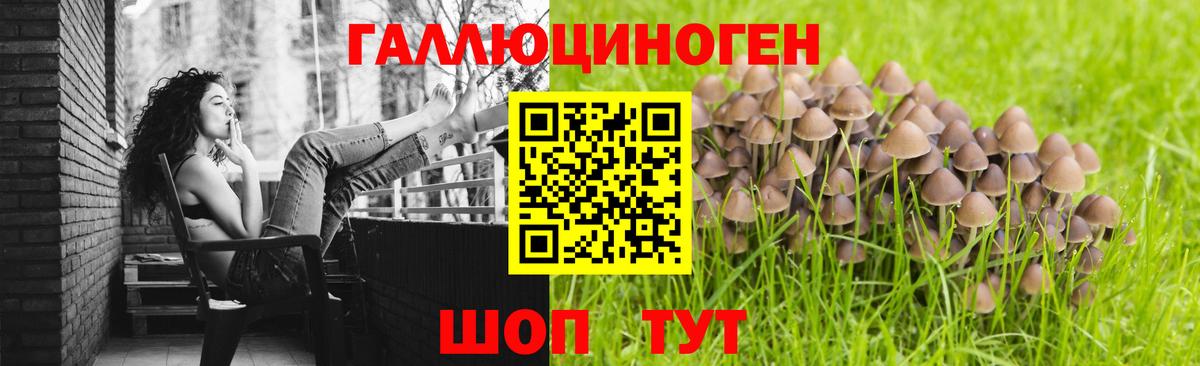 Галлюциногенные грибы мухоморы Бутурлиновка